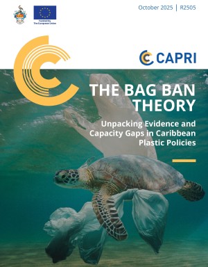 The Bag Ban Theory